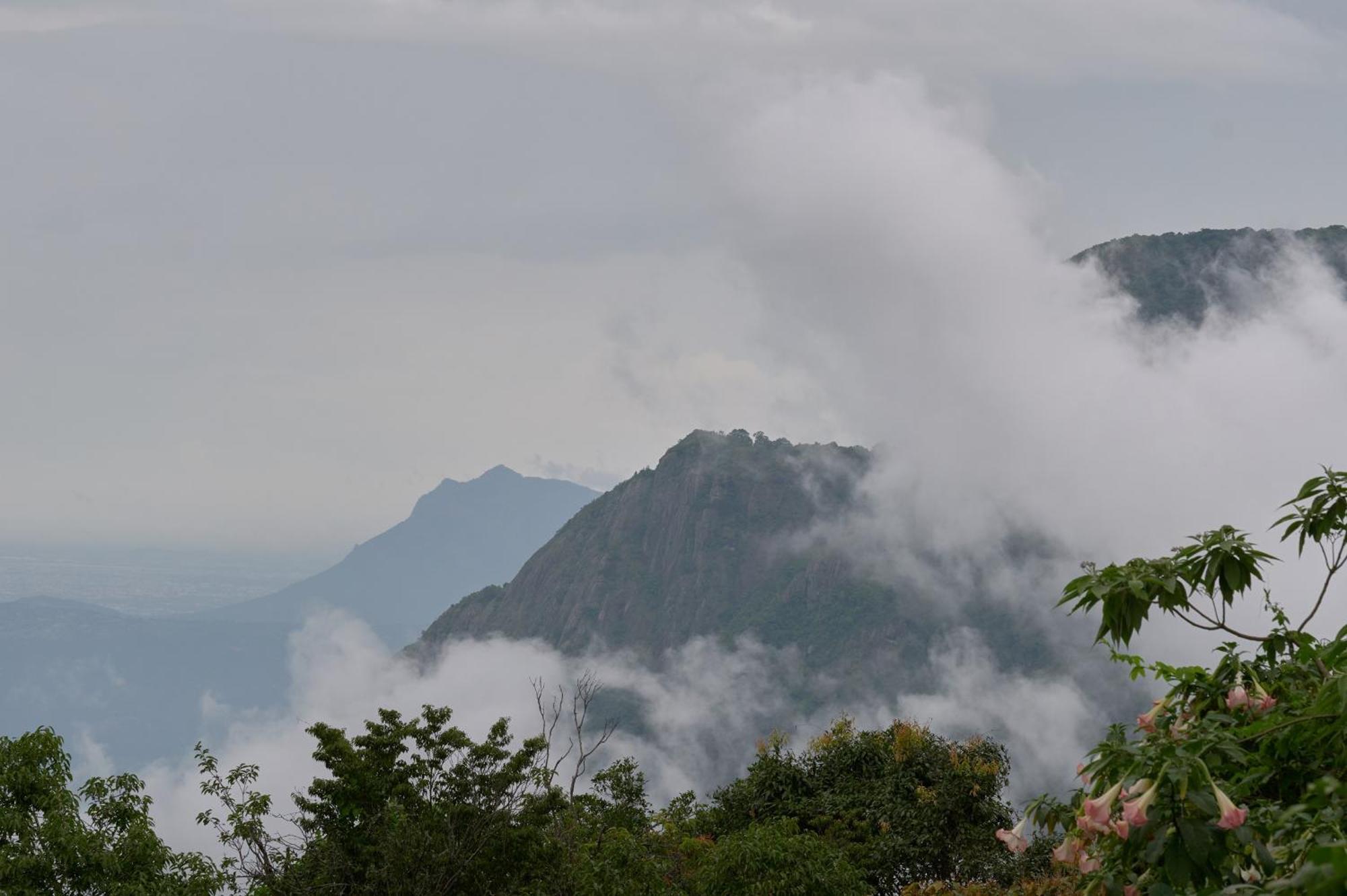 De Rock Jungle Living Resort Coonoor Esterno foto