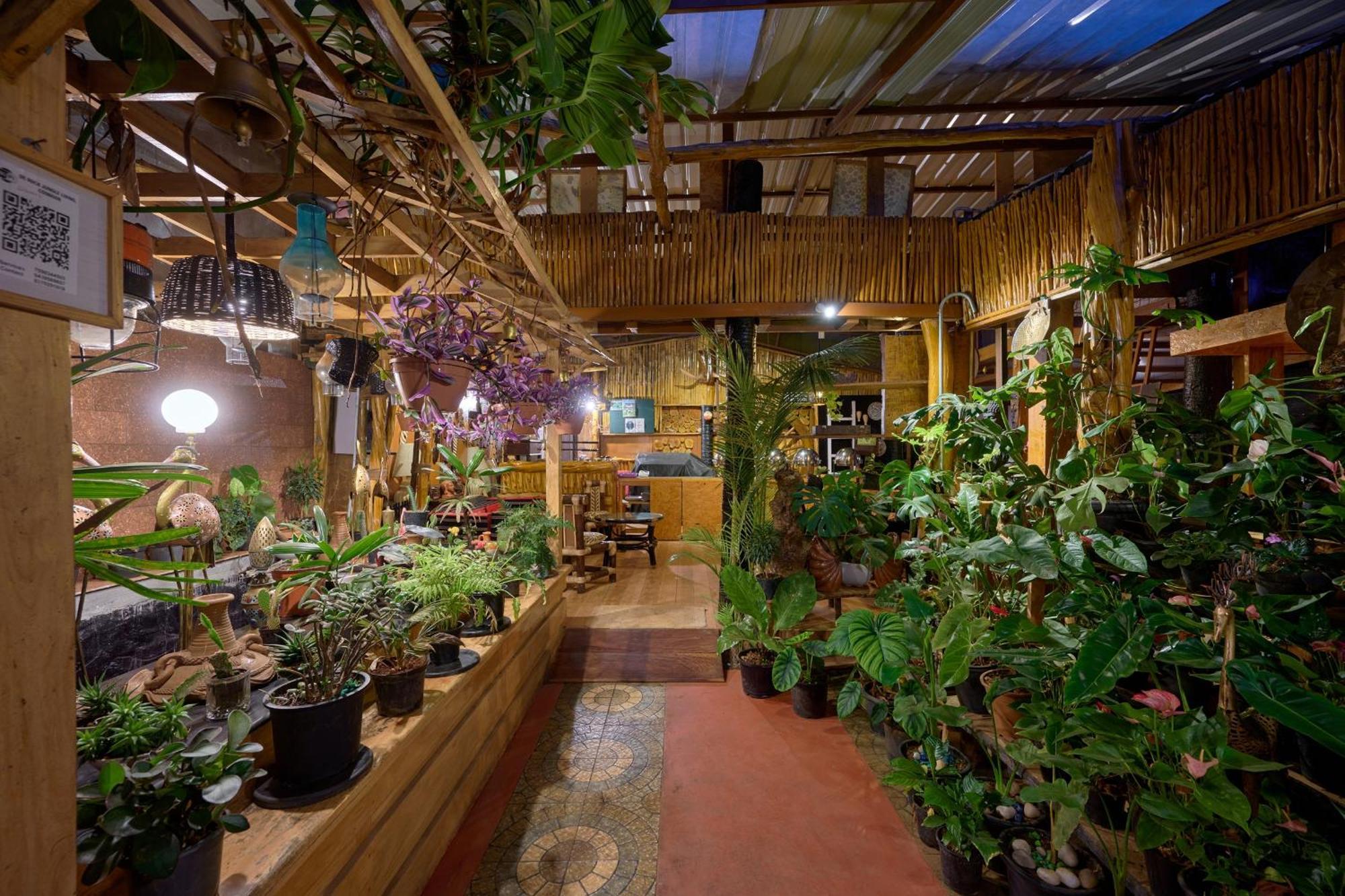 De Rock Jungle Living Resort Coonoor Esterno foto