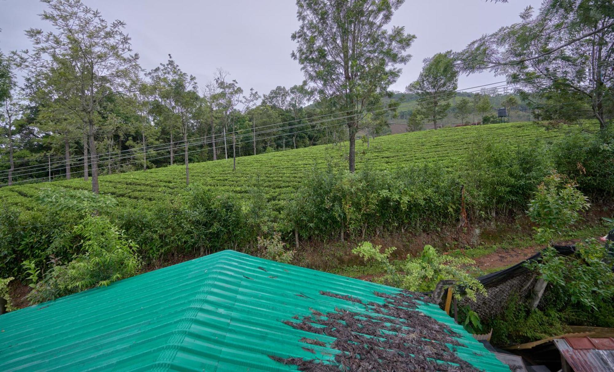 De Rock Jungle Living Resort Coonoor Esterno foto